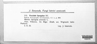 Image Associated With the Occurence